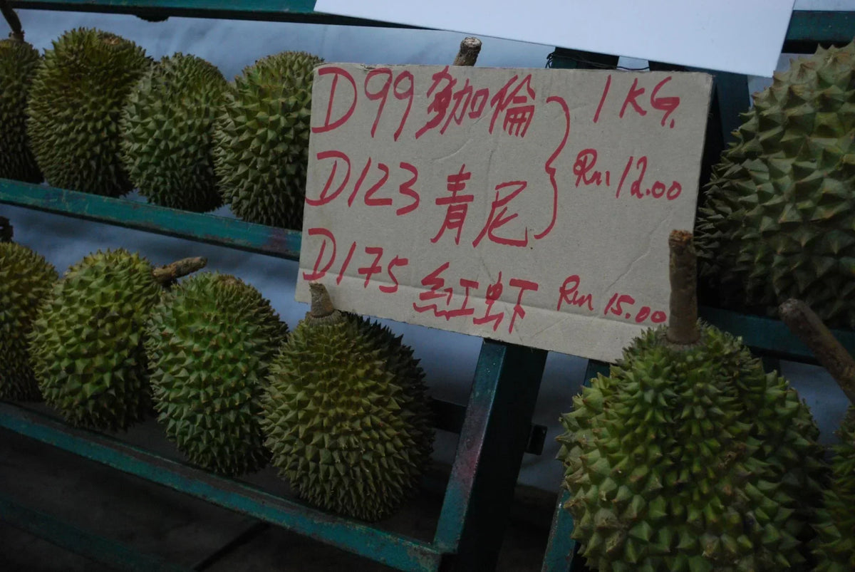 Types of Durian: Musang King, Monthong, D24, Black Thorn & More