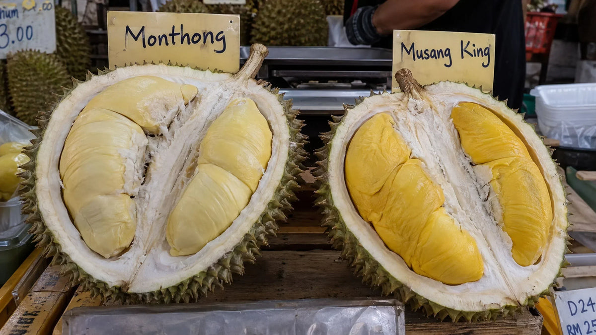 Thai Durian vs Malaysian Durian: Why Are They So Different?