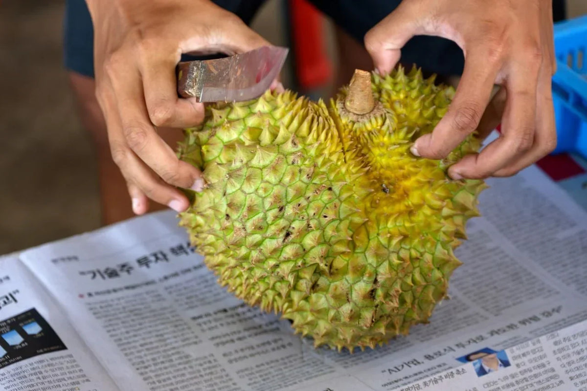 Why Is Durian Called the King of Fruits?