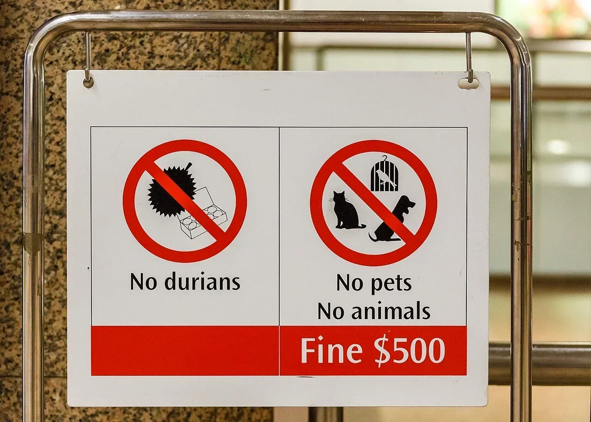 Why Is Durian Banned?