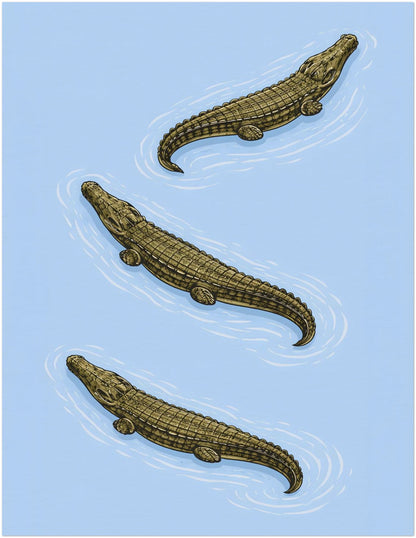 11x14 inch unframed saltwater crocodile poster featuring three diagonally arranged reptiles on a soft blue background. The illustration emphasises armored scales and osteoderms through crisp woodcut-style detail. A Southeast Asian natural history inspired wildlife art print suited to study wall decor and contemporary gallery walls.