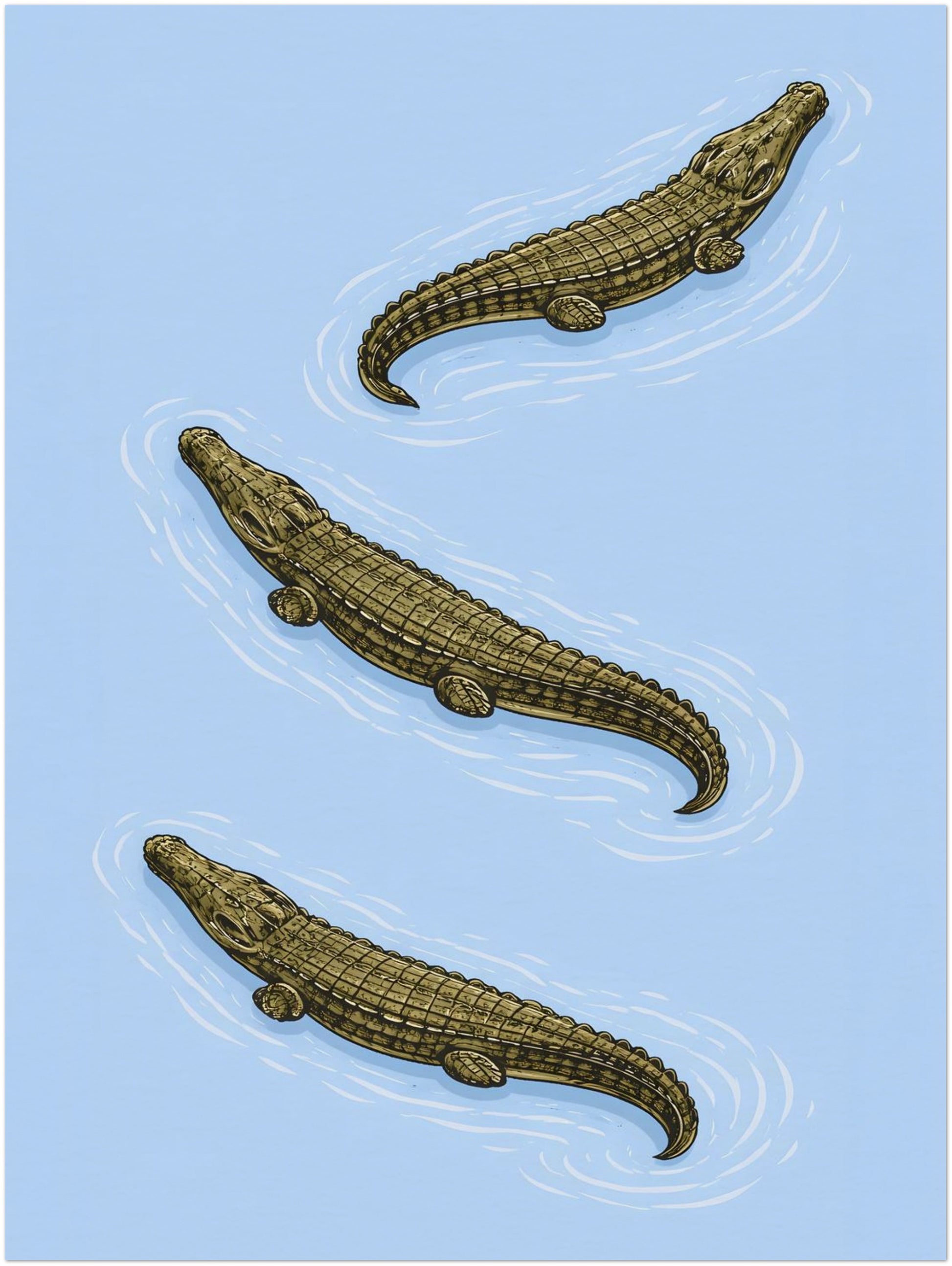 12x16 inch unframed crocodile wall art print displaying three estuarine crocodiles in structured diagonal formation. The powder blue background contrasts with olive reptile tones, while white ripple lines suggest movement. A modern wildlife poster influenced by traditional zoological illustration and ideal for reptile art collectors.