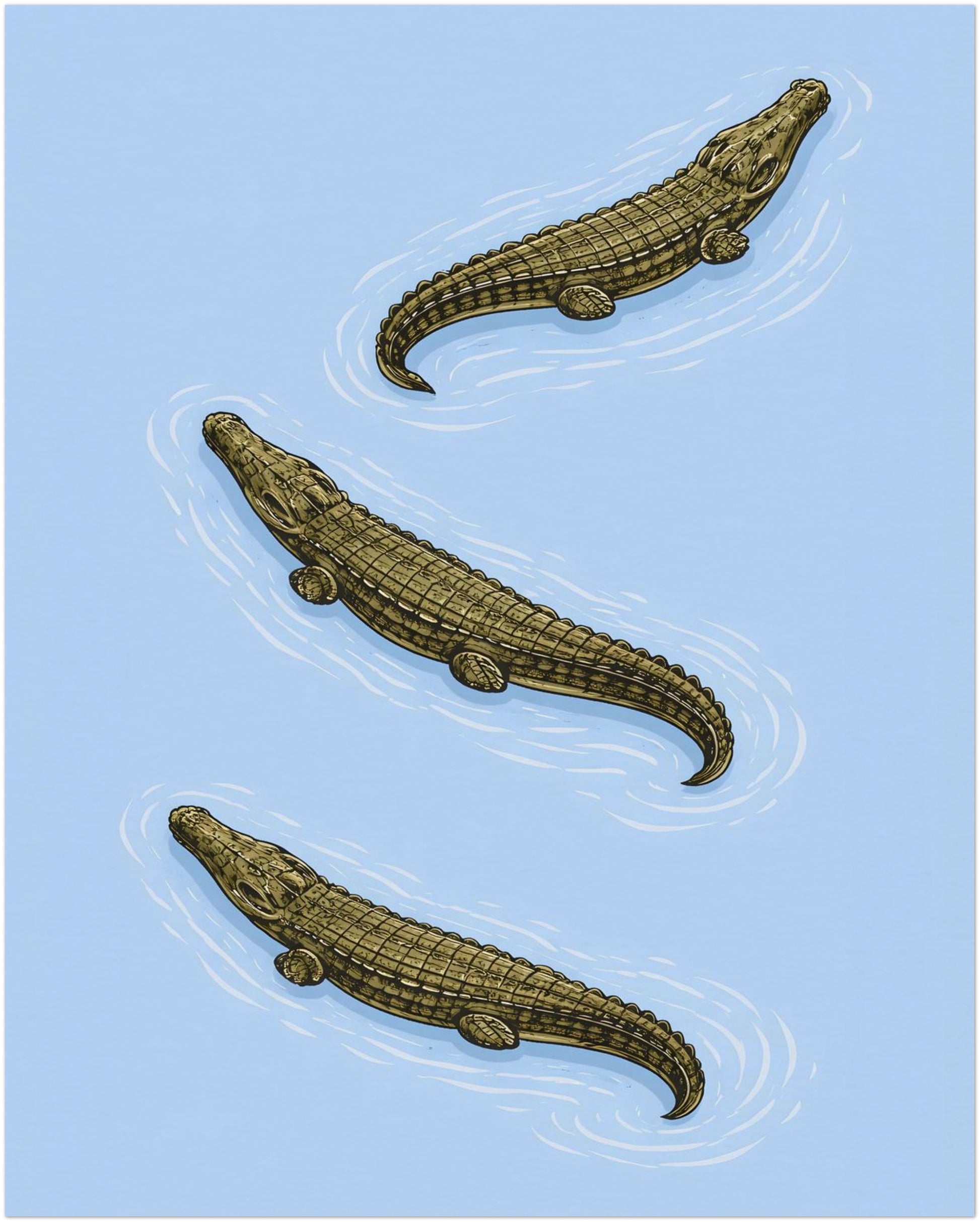 16x20 inch unframed Triple Estuarine Crocodiles art print presenting three saltwater crocodiles in a clean specimen-style layout. The detailed linework and calm blue background create a balanced wildlife wall art piece. A larger natural history poster suitable for home offices, studies and modern animal art displays.