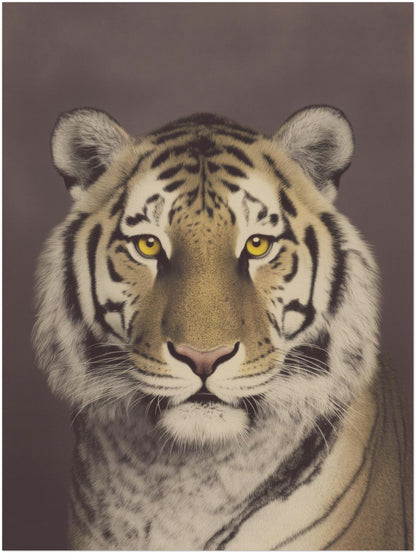 18x24 inch unframed Malayan tiger animal art print showing a detailed close-up wildlife portrait with muted tones and strong stripe contrast. Vintage photography style and centred layout create a balanced wall art piece for home offices, hallways or living room gallery walls.