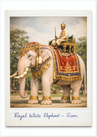 6bad939f-8ffd-4fc6-97e0-39673ea15050