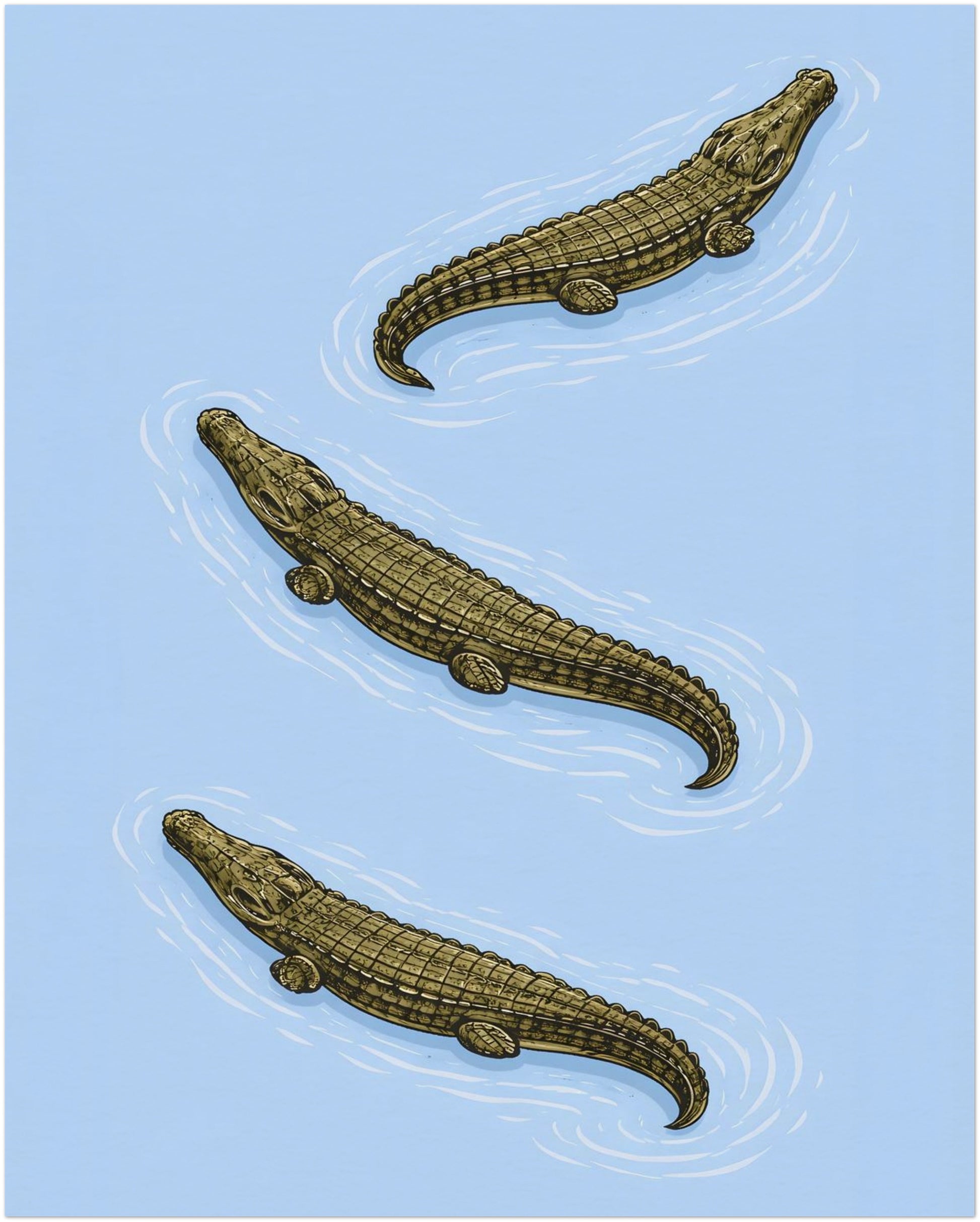 8x10 inch unframed crocodile art print showing three estuarine saltwater crocodiles in a rhythmic diagonal composition. The blue backdrop creates strong contrast with olive reptile tones, while fine linework adds natural history detail. A reptile wall art poster designed for study spaces, home offices and minimalist animal decor.