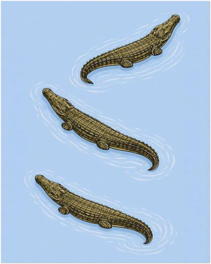 8x10 inch unframed crocodile art print showing three estuarine saltwater crocodiles in a rhythmic diagonal composition. The blue backdrop creates strong contrast with olive reptile tones, while fine linework adds natural history detail. A reptile wall art poster designed for study spaces, home offices and minimalist animal decor.
