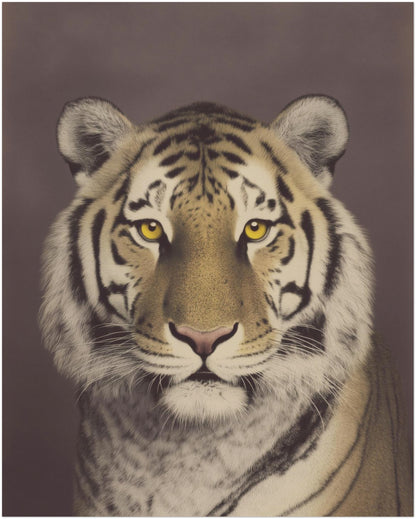 8x10 inch unframed Malayan tiger small art print showing a close-up big cat portrait with muted tones and detailed stripe pattern. Vintage wildlife style makes it suitable for compact wall decor, shelf displays or layered gallery wall arrangements.
