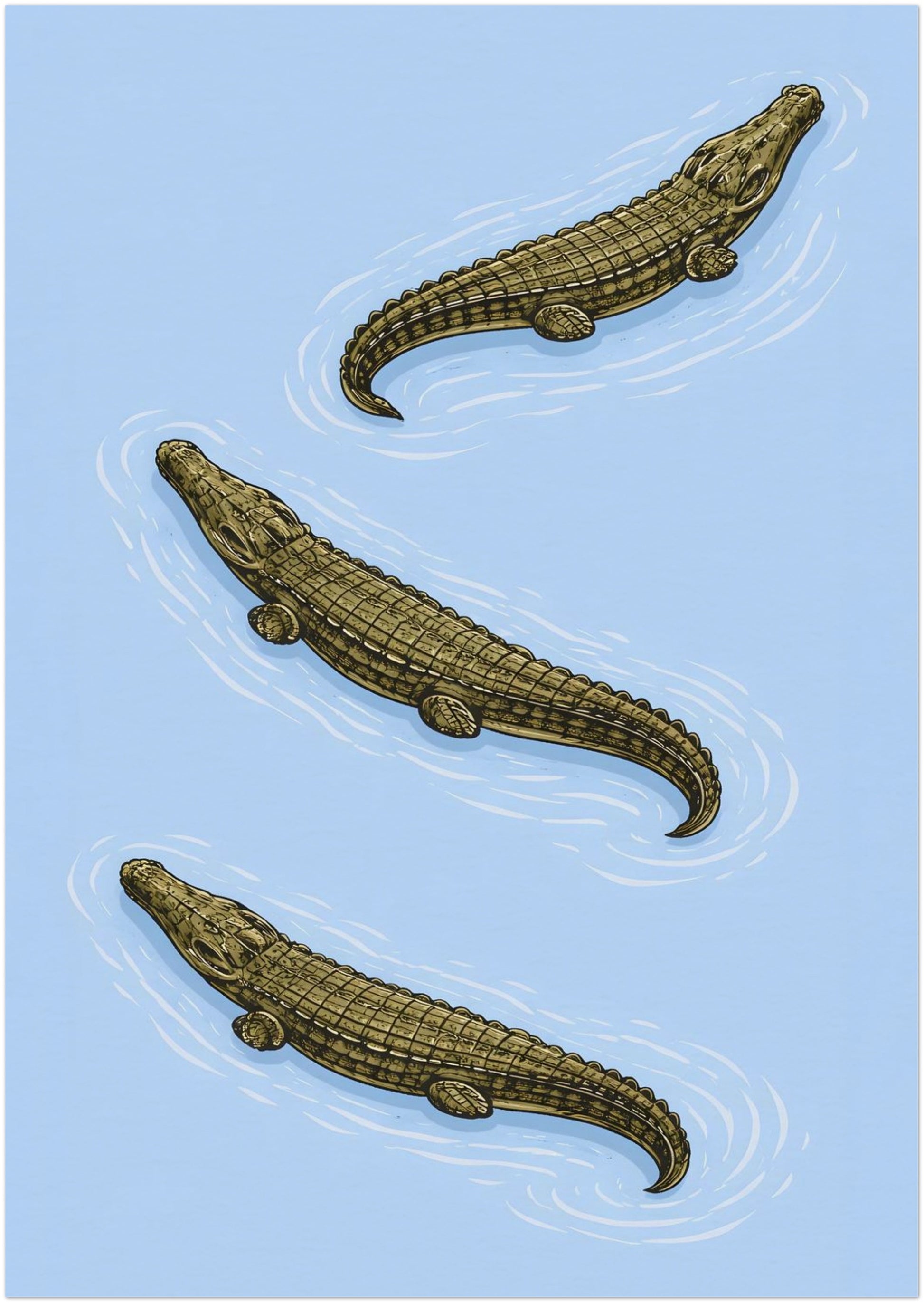 A3 unframed crocodile wildlife art poster presenting three estuarine crocodiles in a diagonal layout. The olive reptile tones contrast with the clean blue background, while detailed linework adds natural history character. A compact reptile wall art print suitable for small spaces, study desks or layered gallery walls.