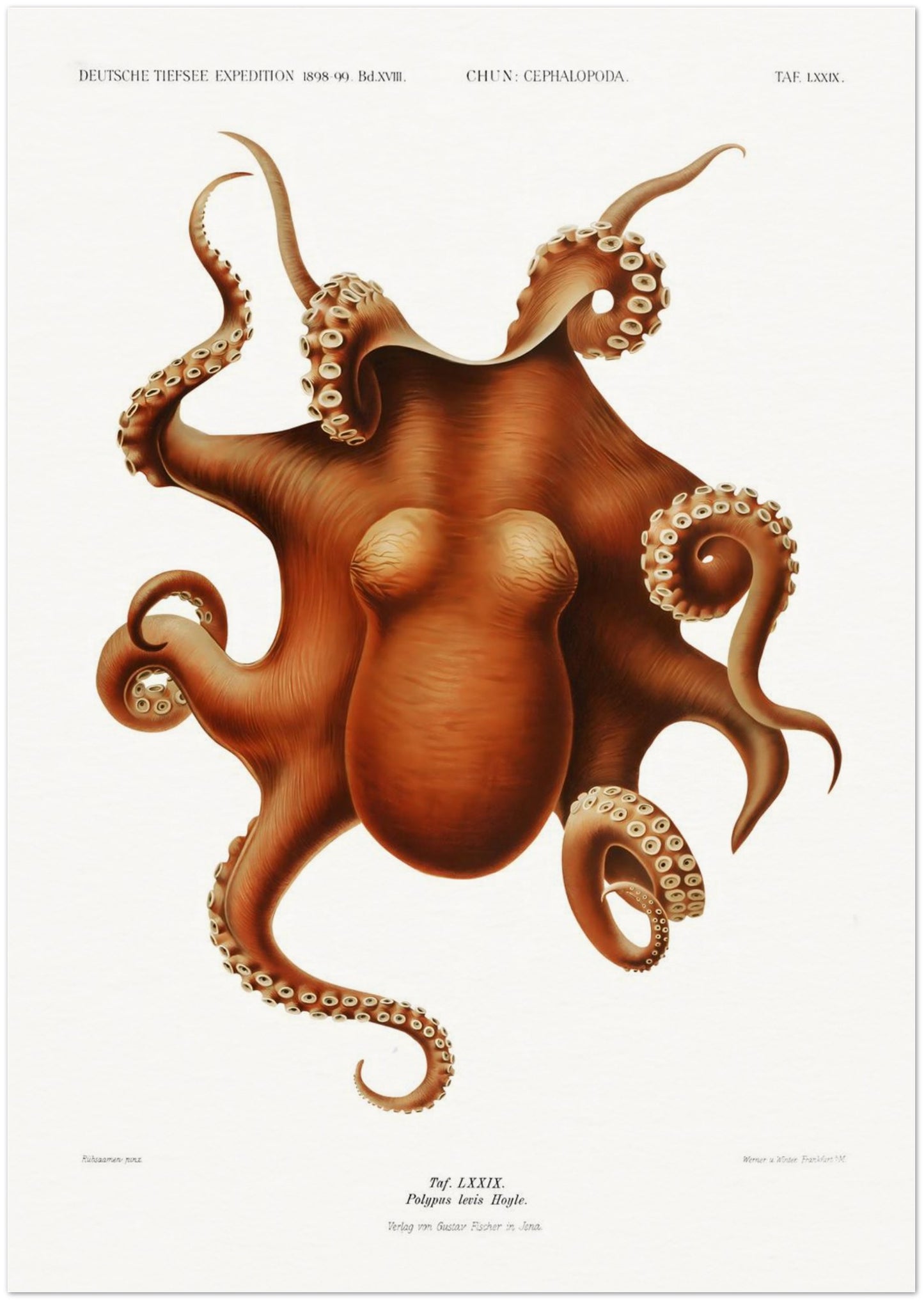 bc69ca39-22aa-4f15-86ea-ea983f299ac6