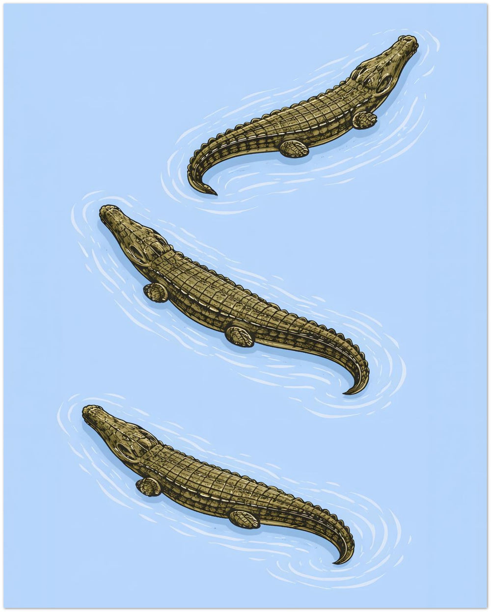 Three Crocodiles Swimming in Water Print