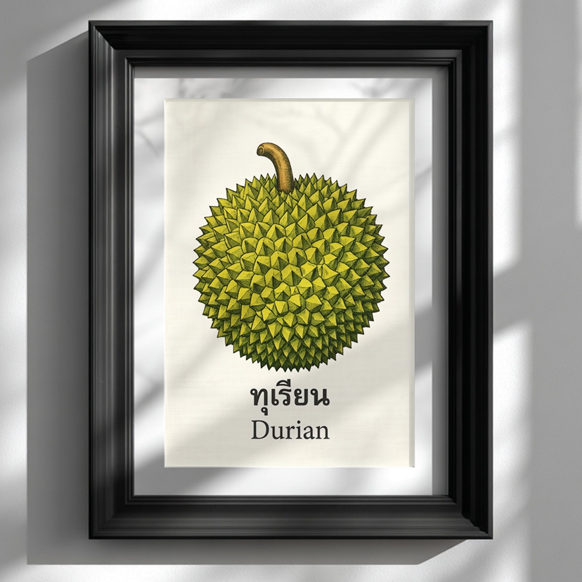 Black framed Thai durian wall art displayed on a white wall with soft natural shadows. The print shows a detailed green durian fruit with a curved brown stem, Thai script and an English “Durian” label on a cream background. The clean presentation highlights minimalist botanical styling, framed kitchen wall decor and a cultural fruit print suited to modern interiors.