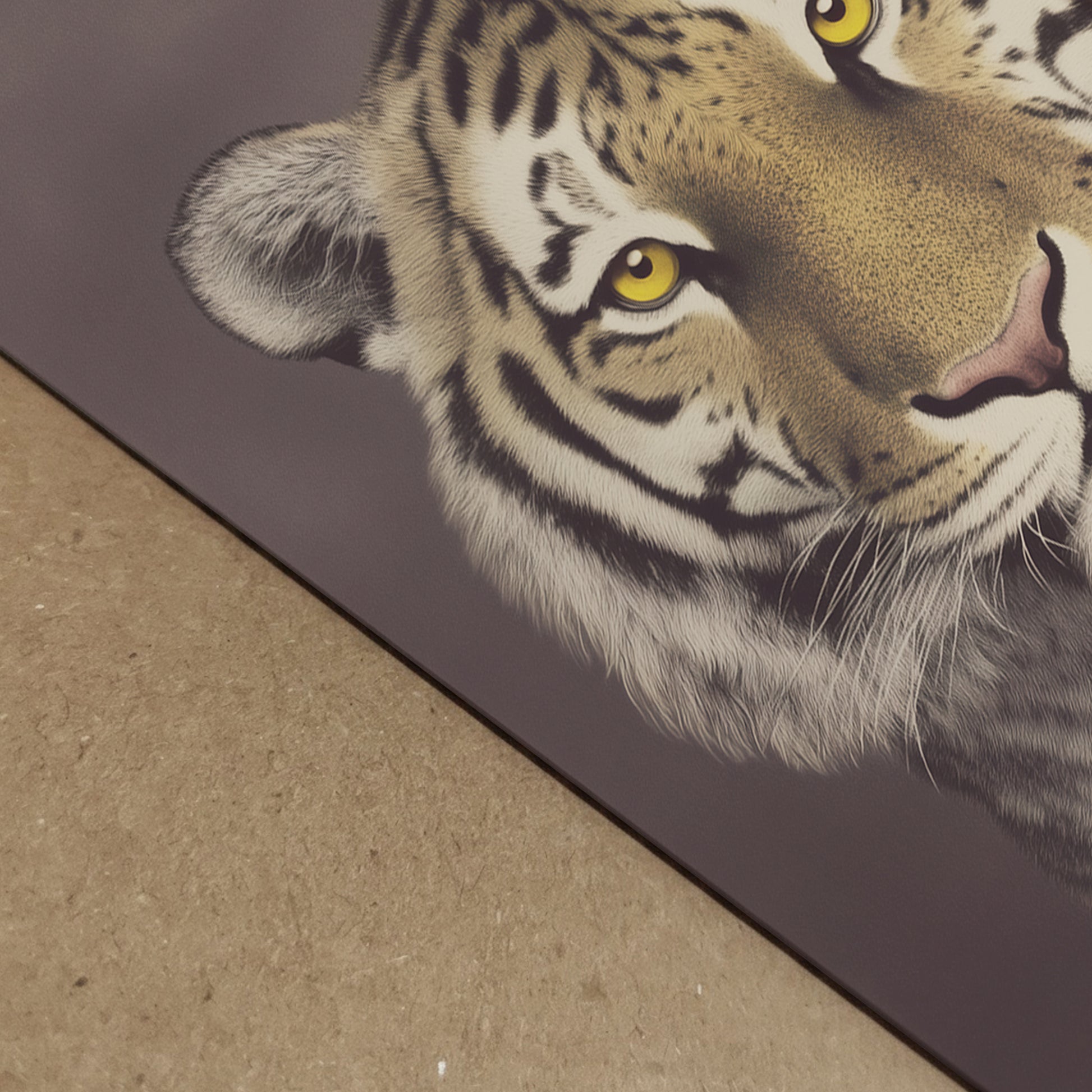 Close-up image of the Malayan tiger print surface highlighting paper texture, ink depth and stripe detail. The vintage wildlife portrait shows realistic fur patterns and warm brown tones. High quality animal art print suited for framed wall decor in living rooms, offices or contemporary home interiors.