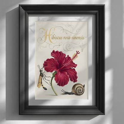 Malaysian Bunga Raya Hibiscus Print