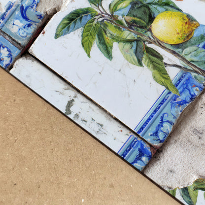 Portuguese Lemon Azulejo Tile Print