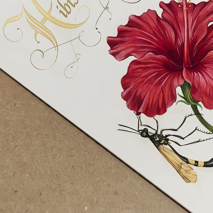 Malaysian Bunga Raya Hibiscus Print