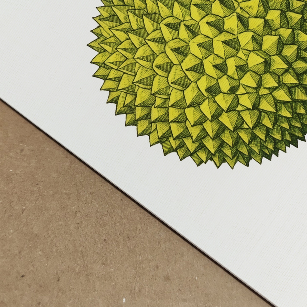 Minimalist Thai Durian Print