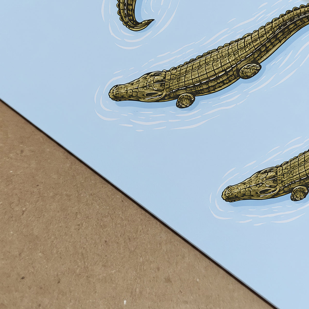 Three Crocodiles Swimming in Water Print