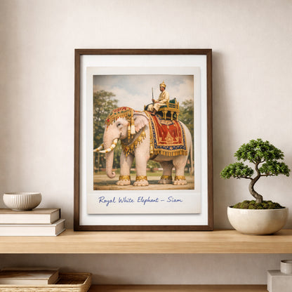 Thailand royal white elephant art print displayed on a wooden shelf beside a bonsai plant and neutral decor. The vintage Polaroid style poster shows a decorated white elephant with red and gold royal cloth and a Thai royal rider. Ideal as Thai cultural wall art for living rooms, studies or calm interiors.